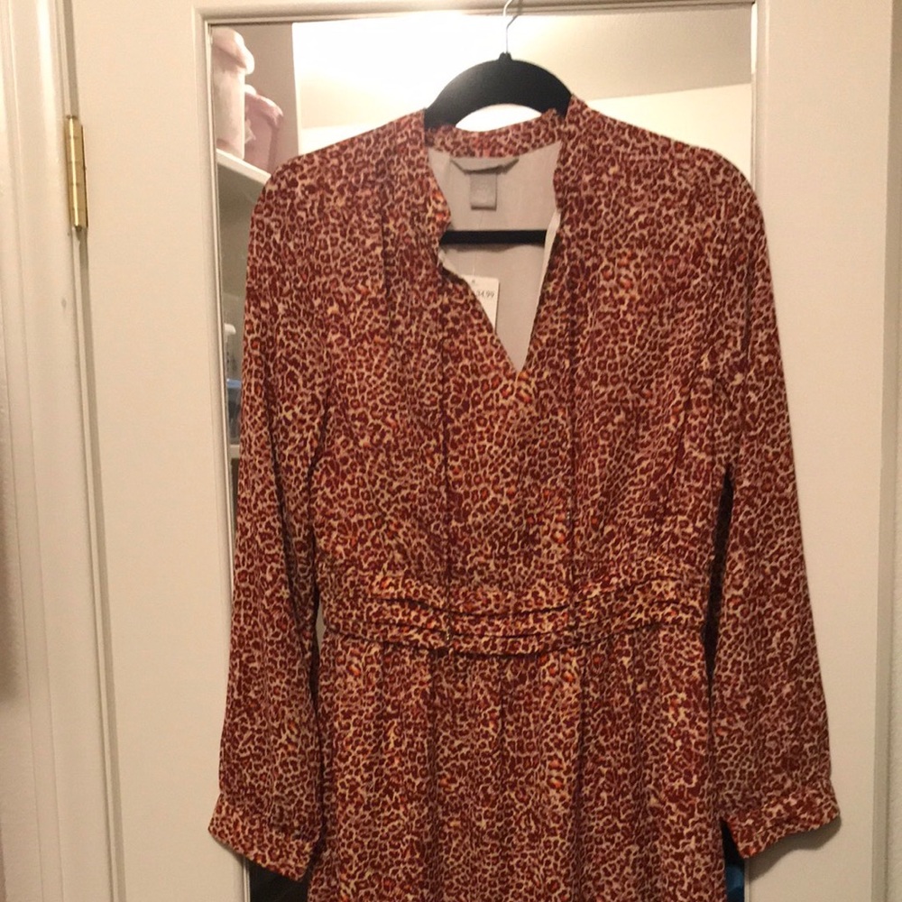 Great career dress